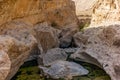 A stream of water in the rocky desert of Oman flowing in a canyon to the oasis of Wadi Bani Khalid - 8 Royalty Free Stock Photo