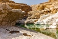 A stream of water in the rocky desert of Oman flowing in a canyon to the oasis of Wadi Bani Khalid - 5 Royalty Free Stock Photo