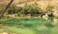 Emerald pools in Wadi Bani Khalid, Oman Royalty Free Stock Photo