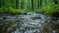 A stream of water runs through the forest as spring approaches Royalty Free Stock Photo