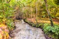 A stream of water runs through a forest Royalty Free Stock Photo