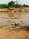 Stream water stones environment river