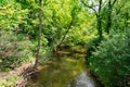 Stream at Waterfall Glen Forest Preserve in Suburban Lemont Illinois