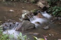 Stream and waterfall at Pang Hai Chiang Mai Thailand Long Exposure photography shot