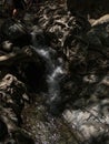 Stream waterfall running through River bank tree roots