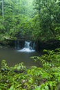 Stream & Waterfalls, Greenbrier, Great Smoky Mountains NP