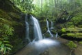 Stream & Waterfalls, Greenbrier, Great Smoky Mountains NP