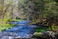 stream in the wild on new england
