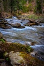 A stream in a forest somewhere in southern Poland