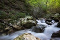 Stream in the woods of sibillini park Royalty Free Stock Photo