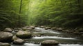 A Stream In The Woods