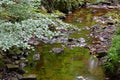 Stream in the woods Royalty Free Stock Photo
