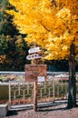 Stream, yellow autumn ginko tree at Baekdudaegan Mountain Range