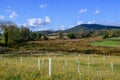 Streambank and floodplain restoration on a small stream. Royalty Free Stock Photo