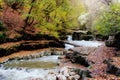 Streamflow in the middle of a tranquil autumn forest Royalty Free Stock Photo