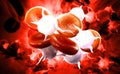 Streaming blood cells Royalty Free Stock Photo