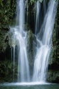 Streaming cascade water in green forest