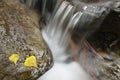 Streaming water between rocks with autumn leaves