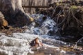 A streamlet in the forest, a bridge over the stream. Royalty Free Stock Photo