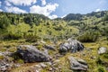 Streamlet in idyllic mountain landscape Royalty Free Stock Photo