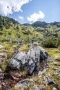 Streamlet in idyllic mountain landscape Royalty Free Stock Photo