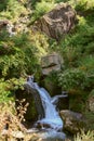 Streamlet in the mountains. Vashisht. Royalty Free Stock Photo