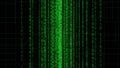 Green binary code cascading down a digital screen with a dark background Royalty Free Stock Photo