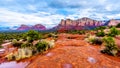 Streams and Puddles on the Red Rocks the Munds Mountain after a heavy rainfall near the town of Sedona in northern Arizona Royalty Free Stock Photo