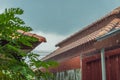 Streams of rain water pour off a corrugated roof, grey roof, green background selective focus Royalty Free Stock Photo