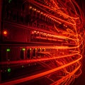 HighSpeed Data Flow in a Network Server Rack Royalty Free Stock Photo