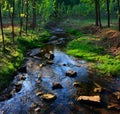 The streams under the setting sun streams Royalty Free Stock Photo