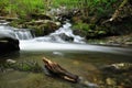 Streams in the woods