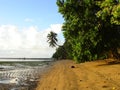 Sand beach at low tide in Melekeok, Palau Royalty Free Stock Photo