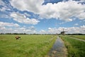 Streefkerk Windmills Royalty Free Stock Photo