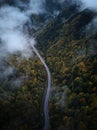 Street from above trough a misty forest at autumn, aerial view flying through the clouds with fog and trees Royalty Free Stock Photo