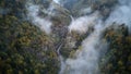 Street from above trough a misty forest at autumn, aerial view flying through the clouds with fog and trees Royalty Free Stock Photo