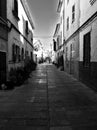 Street in Alcudia