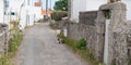 Street alley typical in island Noirmoutier Vendee France