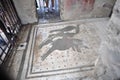 he black mosaic dog in the city of Pompeii destroyed in 79AC by the eruption of Vesuvius volcano, Royalty Free Stock Photo