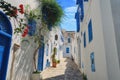A street in the Arab city of Sidi Bou Said. House with blue windows and doors with Arabic ornaments, Sidi Bou Said, Tunisia,