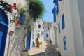 A street in the Arab village of Sidi Bou Said. House with arabic windows and doors with blue ornaments, Sidi Bou Said, Tunisia, Royalty Free Stock Photo