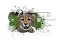 Street Art, Beautiful Cheetah, Abstract Design, Drawing, Painting