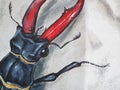 Street art in Duesseldorf - graffiti of a beetle stag