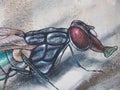 Street art in Duesseldorf - graffiti of a fly