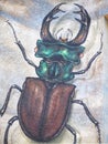 Street art in Duesseldorf - graffiti of an insect or stag beetle