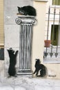 Street Art, Greece, Athens, Three black Cats, HIJACK