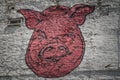 Poland, Street Art, pig`s head on a wall in Warsaw