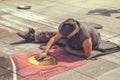 Street artist drawing on the pavement with chalk 2