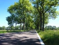 Street or avenue in Brandenburg, Germany in summer