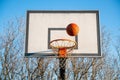 Street basketball ball falling into the hoop. Urban youth game. Close up of orange ball above the hoop net. Concept of success, Royalty Free Stock Photo